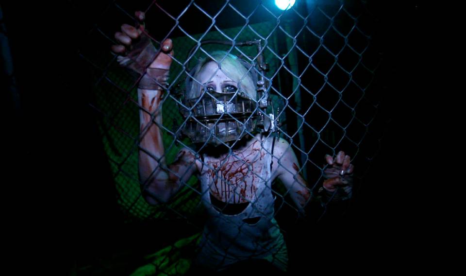 The Fear of Fright Dome
