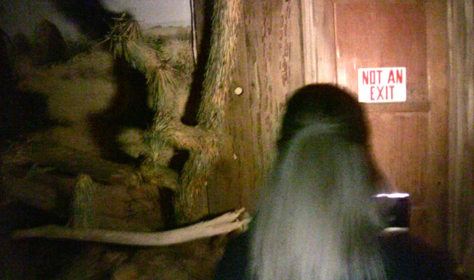 The Search for Real Paranormal Activity