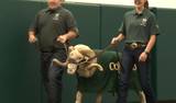 Game Preview: Colorado State vs UNLV