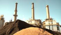 NV Energy is testing out a new source of renewable energy: wood. The wood comes from trees that were cut for fire control in an Arizona national forest, and burning it emits less harmful sulfur into the environment than the coal that is traditionally burned.