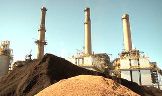 NV Energy Tests Wood