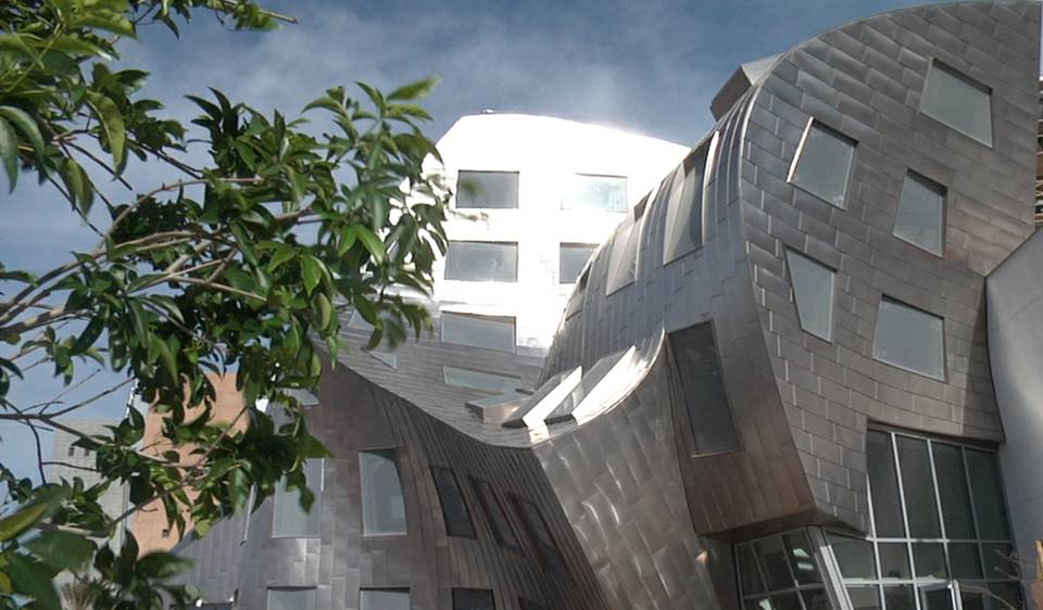 Lou Ruvo Center: Designed for the Mind