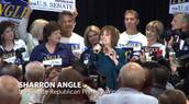 Angle Wins US Senate GOP Primary