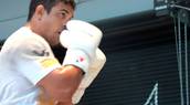 Vitor Belfort Back in Training
