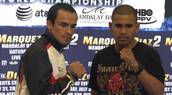 Marquez vs. Diaz Rematch