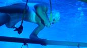 Le Reve: Diving the Dream