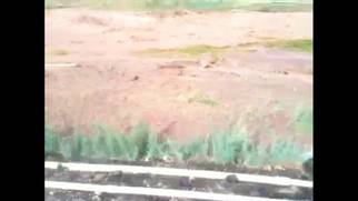 Lake Mead Area Flooding