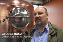 Distilling A Dream