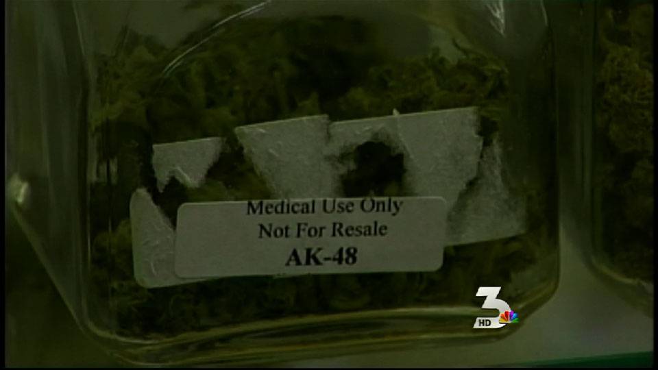 Medical marijuana co-op case goes before judge