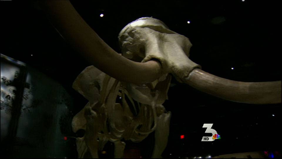 Nevada State Museum opens