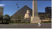 Disease kills one Luxor guest