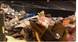 Recycling bill may offer cash incentives