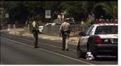 Metro Police dog shot