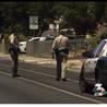 Metro Police dog shot