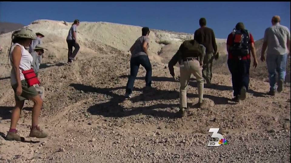 Fossils discovered in Tule Springs 