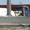 A cement truck crashed into a concrete barrier Wednesday afternoon on the Las Vegas Beltway near the Russell Road interchange. 