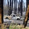 A destroyed pickup truck is shown after a brush fire in the Warm Springs area of Moapa, July 2, 2010.