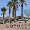 Becky Tiffin, Barry Schafer, Kevin Tiffin and Laurie Schafer of Littleton, Colo., play a round Wednesday, July 22, 2015, at Coyote Springs Golf Club.
