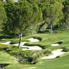 Larry White of Puyallup, Wash. drives off the eighth tee at the Palm Valley Golf Course in Summerlin Monday Sept. 28, 2015. The area of dead grass at left (in yellow) will be converted into desert landscaping to save water.