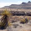 A sign advertises industrial land near Interstate 15 and Highway 93, north of Las Vegas Wednesday, Feb. 17, 2016. Electric car start-up Faraday Future plans to build a $1 billion auto plant in the Apex Industrial Park.