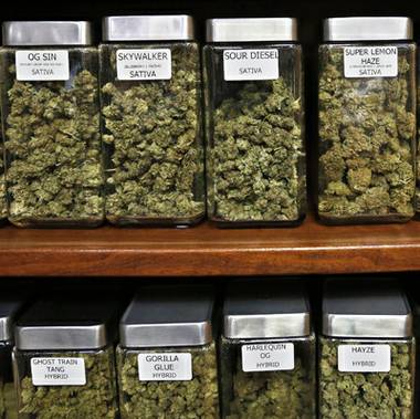 Nevada judge rules state marijuana licensing process can go ahead