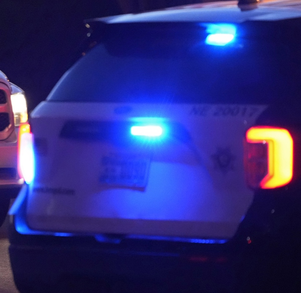 New details in bizarre death of Nevada hitandrun suspect Las Vegas Sun News