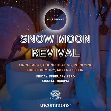 Snow Moon Revival