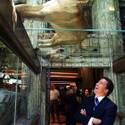 Last Day for Lion Habitat