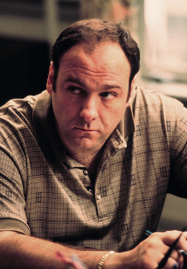 James Gandolfini stars as Tony Soprano in the critically acclaimed HBO series "The Sopranos." 