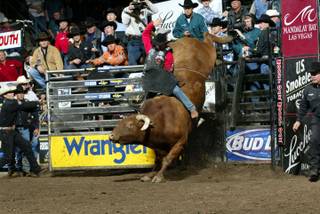 Chris Shivers attempts to ride Berger's Little Yellow Jacket for $1,000,000 at the Colorado Springs World Arena Built Ford Tough Series PBR. 