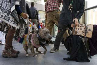 A panhandler, right, packs up to leave after soliciting money with a dog on a pedestrian overpass near Planet Hollywood Friday, Dec. 30, 2011. A proposed county ordinance would ban the use of dogs and other animals by people soliciting money on the Strip.