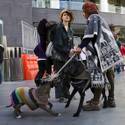 Dogs on the Strip