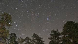 A Perseid meteor streaks toward the horizon early this morning. This photo was taken at Mount Charleston.