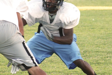 Bullock