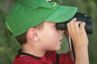 Marcus Gutierrez, 6, looks for birds through a pair of binoculars at the Henderson Bird Viewing Preserve on Sept. 16.