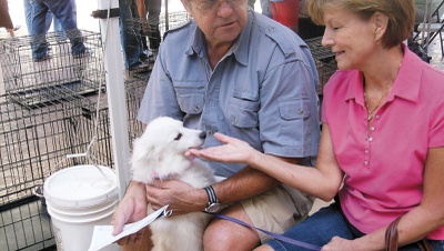 Pets find homes at adoption event