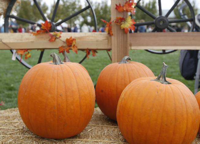 More than 3,000 Summerlin residents attended the second annual Summerlin Pumpkin Festival to welcome the fall season.
