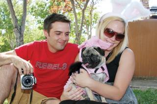 Chemish Fisher and Jennifer Smith play with Casey, dressed as a pig for the costume contest, during the seventh annual Pug-O-Rama Picnic at Hills Park in Summerlin.