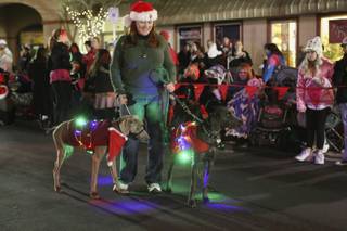 A member of the Las Vegas Weimaraner Club and Rescue walks blinking weimaraners down Nevada Way during the 37th annual Santa's Electric Light Parade in Boulder City Dec. 6.