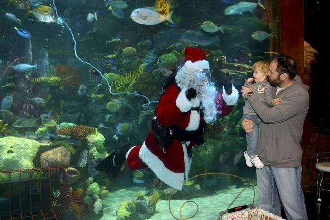 crema Puntuación Chicle All I want for Christmas is a scuba tank - Rocky Savio lifts his  two-year-old son, Andy, up to the ... -