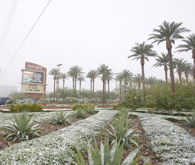 Snow dots the landscaping outside Red Rock Resort. Light snow ...