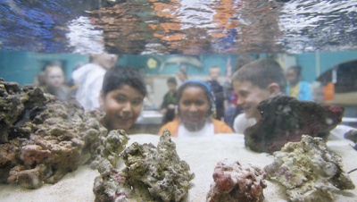 Marine lab offers students one-of-a-kind learning environment