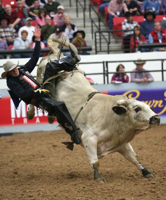 Championship Bull Riding - Cody White, of Johnson City, Texas, competes ...