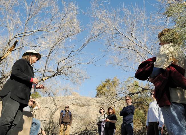 The head of the Project Green education committee Evelyn Gajowski, left, pauses in a grove of desert willow trees to discuss the harsh environment of the southwest with a small group of people taking a tour of the trails of Pittman Wash on Saturday.