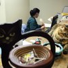 
Scratchy the cat has become something of a fixture at Siena Animal Hospital since being dropped off as a stray eight months ago. The hospital, on the western edge of the valley, has been inundated with strays as the recession deepens, leading some to abandon their pets. 