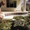 Phil Bondurant, an environmental health specialist, releases mosquito fish into pool Tuesday in Henderson. The fish can feed on mosquito larvae for years.