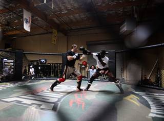 Forrest Griffin works out at Xtreme Couture Gym in Las Vegas on Tuesday.  Griffin will face Anderson Silva at UFC 101 on August 8.