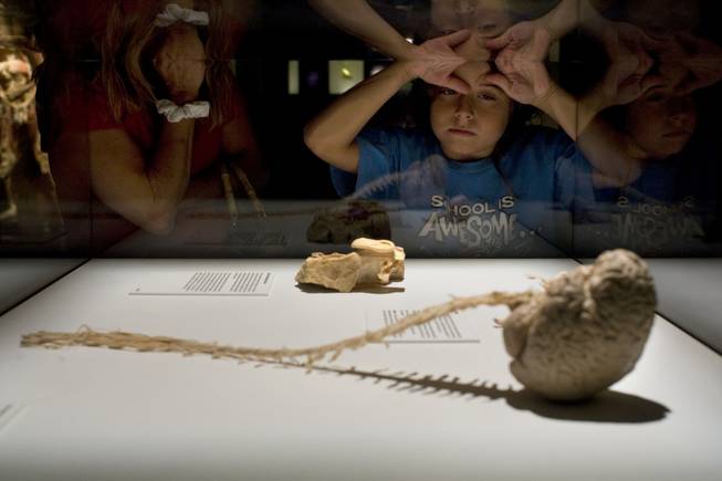 Zachary Laffitte, 9, gazes into the central nervous system, a full spinal cord and brain column in at "Bodies: The Exhibition" on Thursday, Aug. 20, 2009, at the Luxor in Las Vegas. 