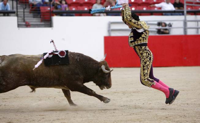 Bloodless Bullfighting - Bullfighter Alfredo Rios of Mexico aims  Velcro-tipped 