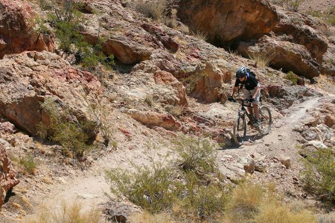 Sam Scheller spends an afternoon riding his mountain bike along the rugged terrain of Bootleg Canyon bike trails near Boulder City in May 2007.